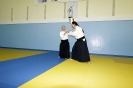 39 aikido seminar 79